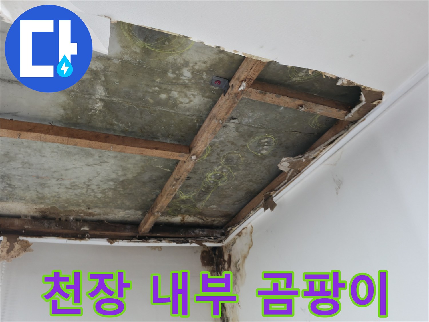 천장 마감재 제거 후 보이는 곰팡이와 습기 흔적
