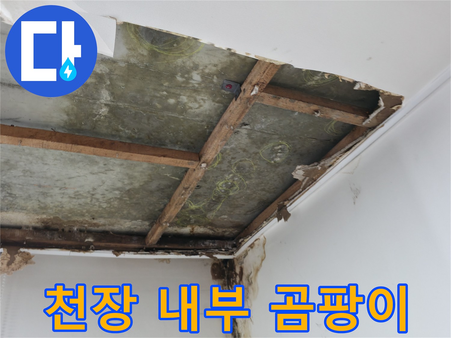 천장 마감재를 제거한 후 드러난 슬래브의 곰팡이와 습기 상태