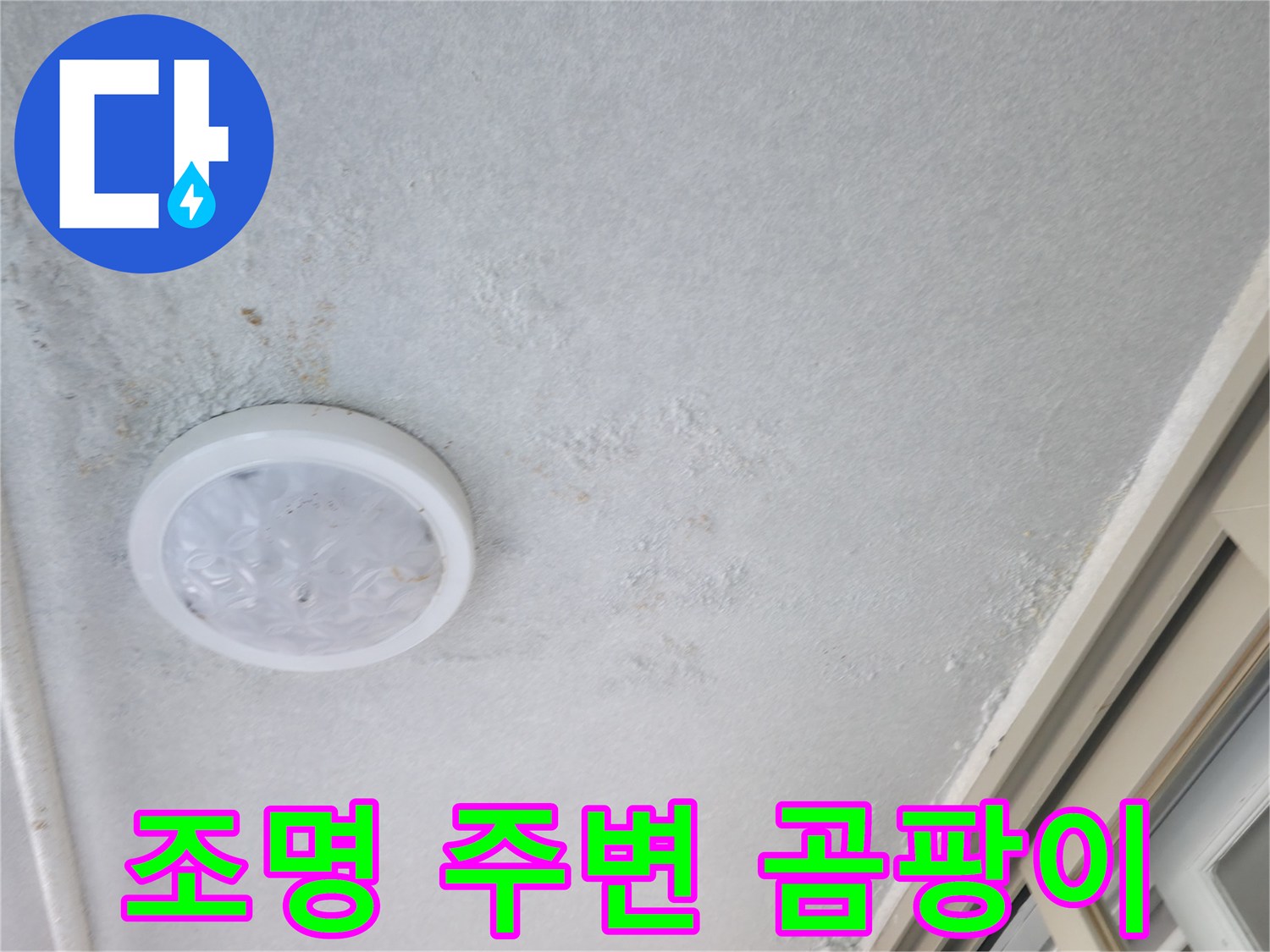 천장 조명 케이스 주변에 발생한 곰패 및 습기 얼룩