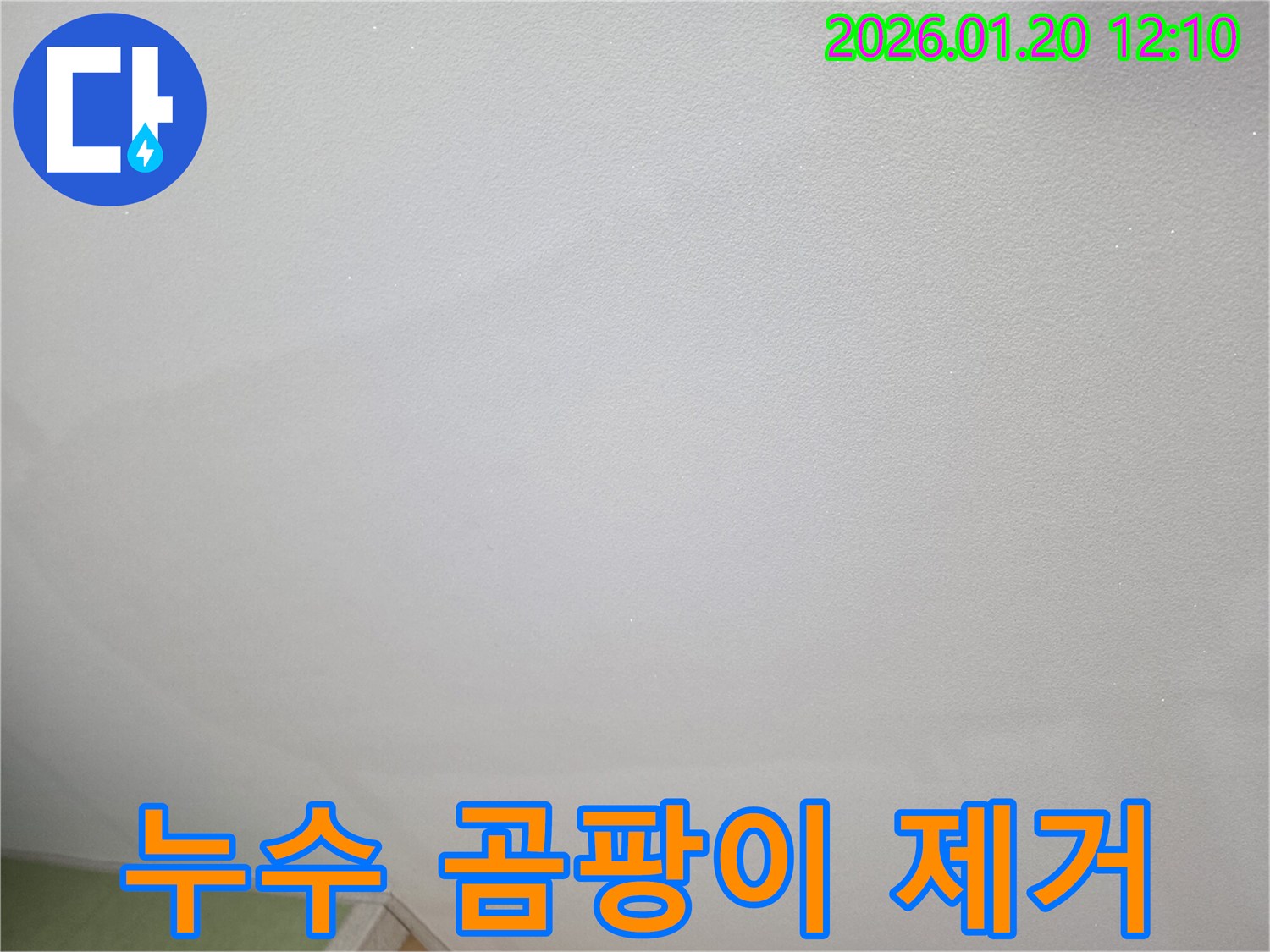 누수 곰팡이 제거 - 누수로 인한 곰팡이와 악취를 제거하고 쾌적한 실내 환경 조성