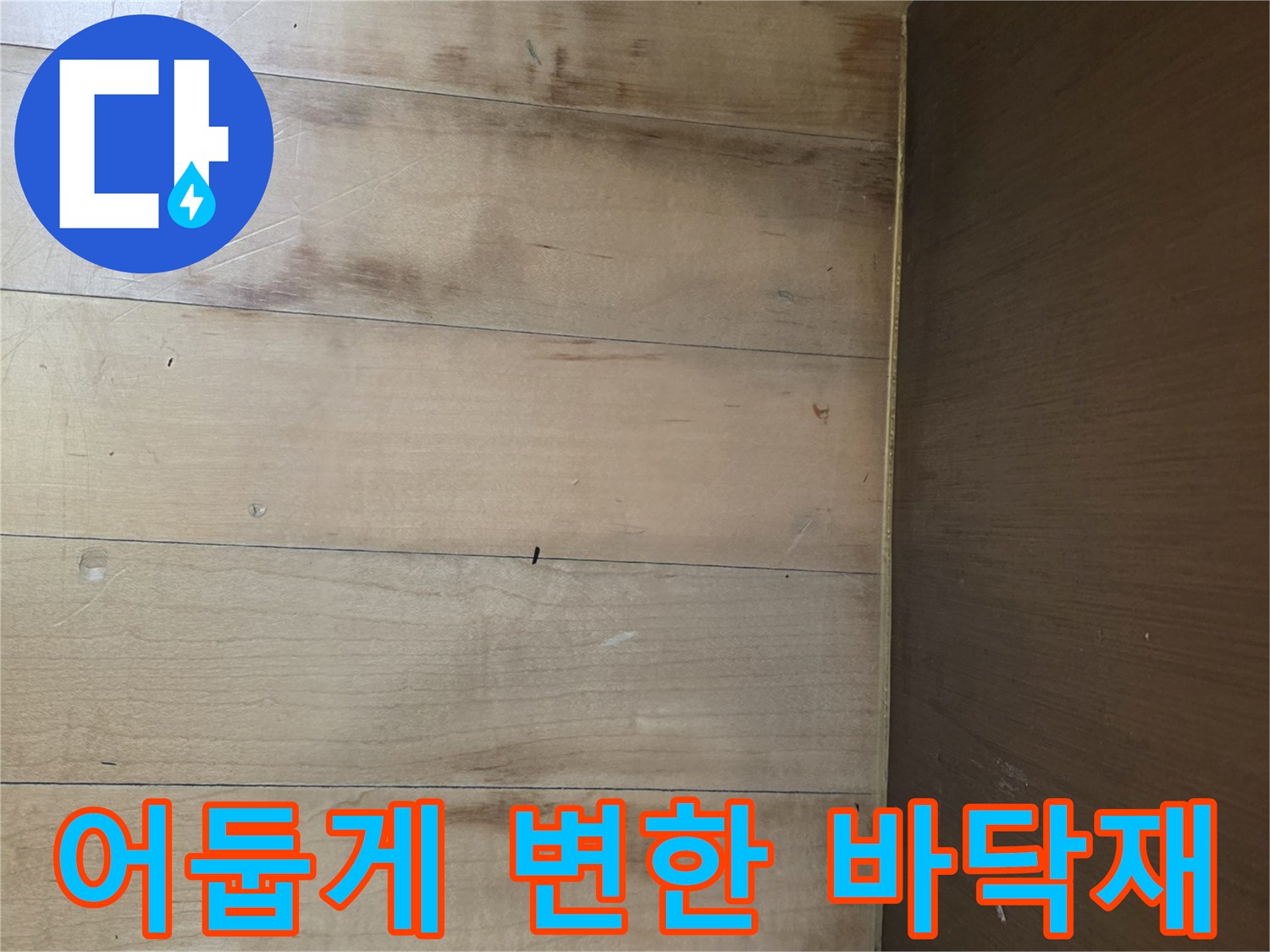 싱크대 아래쪽-축축하게 젖은 듯한 마루 표면