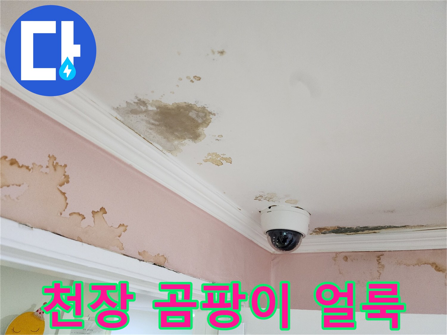 강남구 아파트-천장 벽면의 곰팡이와 변색된 물자국