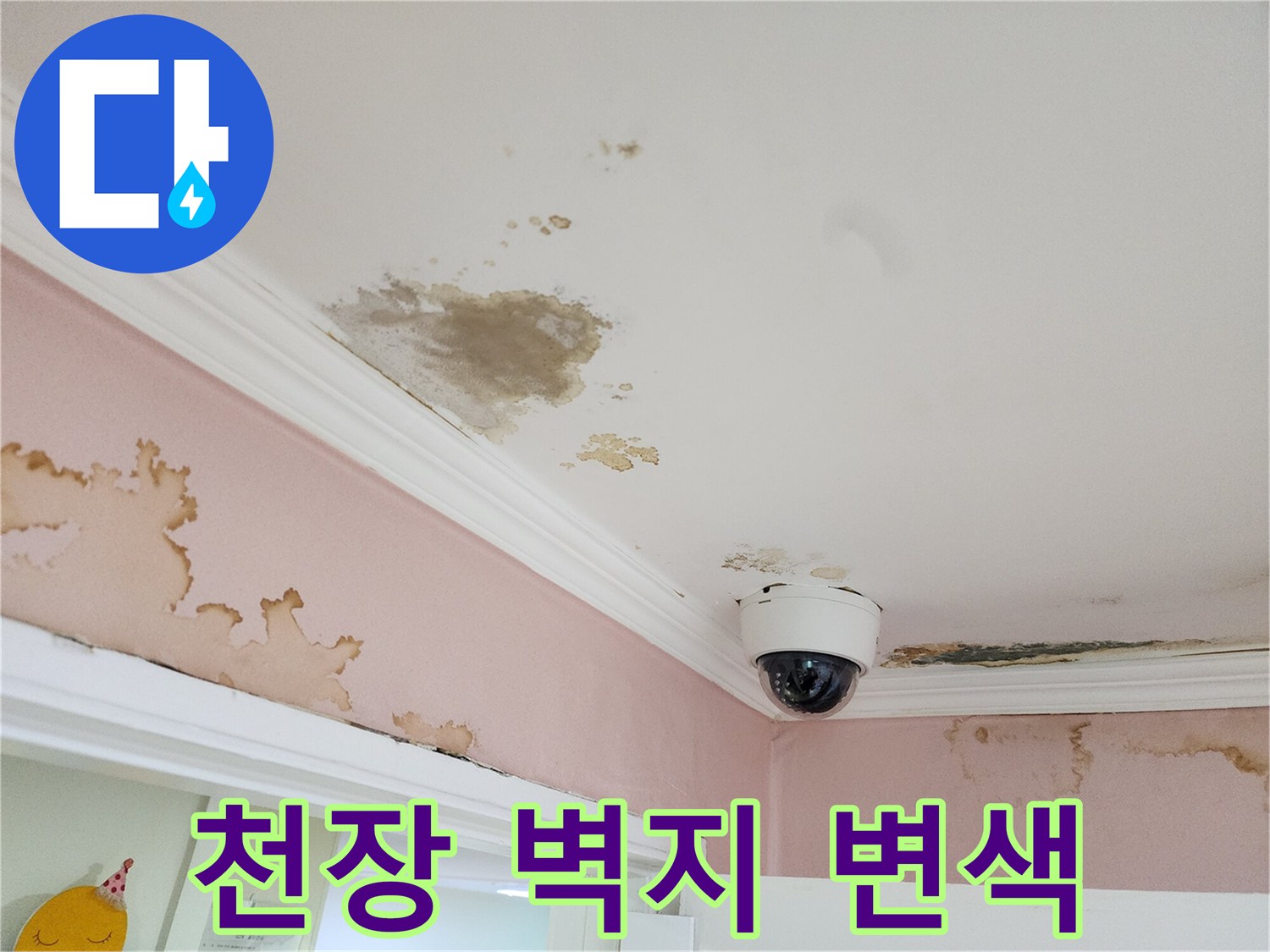 습기로 인해 변색되고 훼손된 천장 벽면과 몰딩
