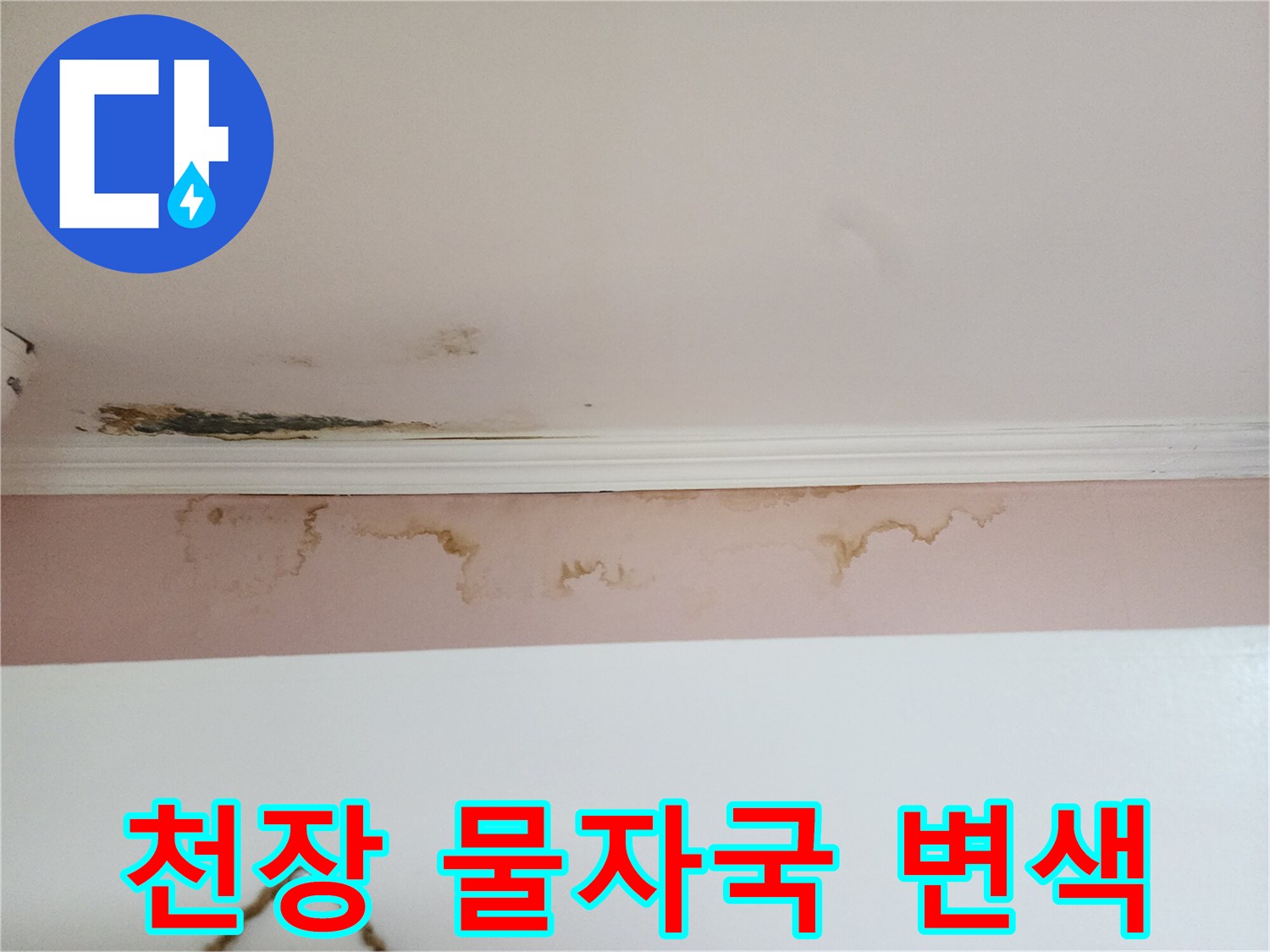 아래층 거주 공간-천장과 벽면의 누수 및 곰팡이 피해