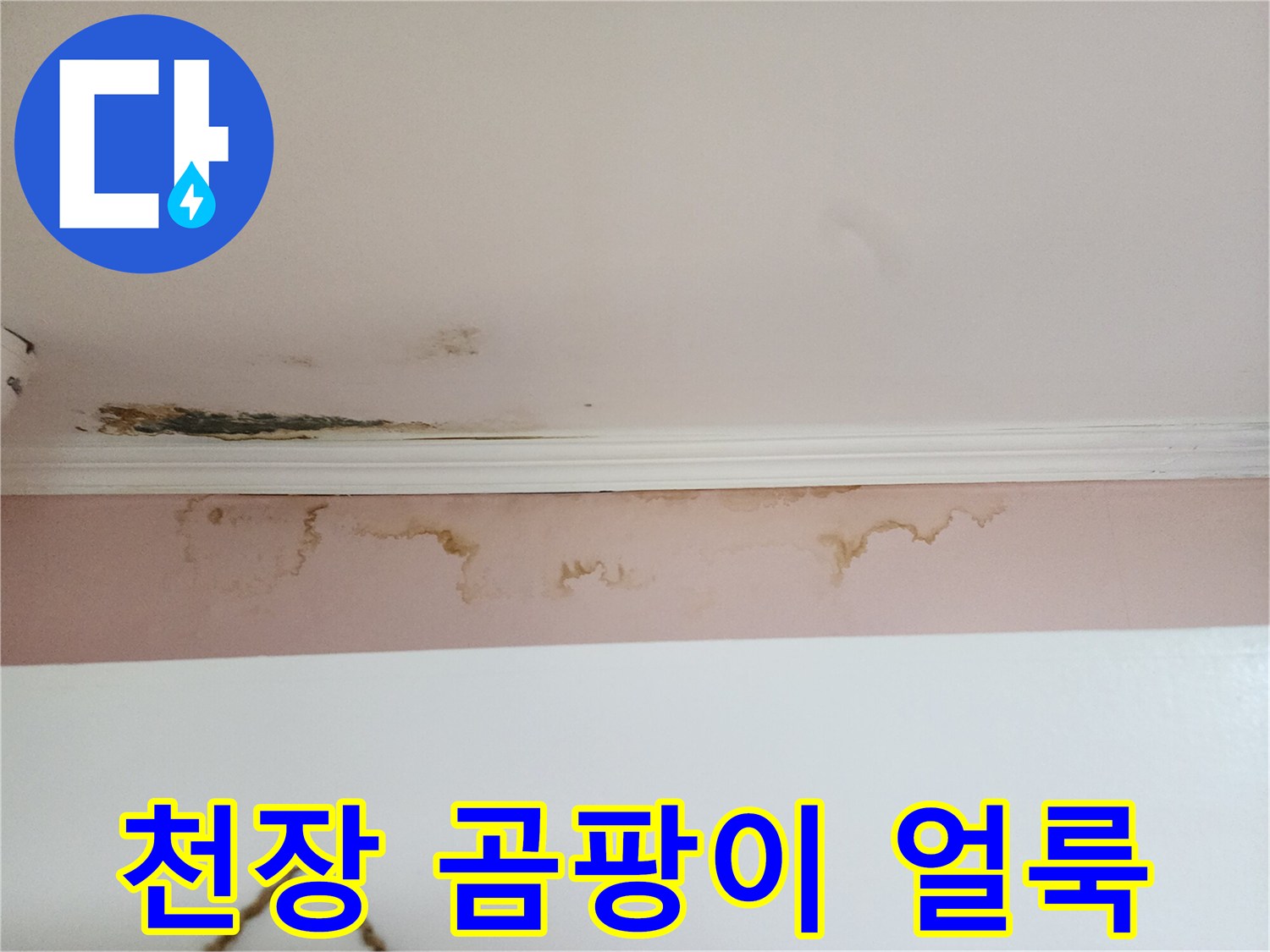 아파트-천장-벽면의-누수-흔적과-곰팡이-발생-상태
