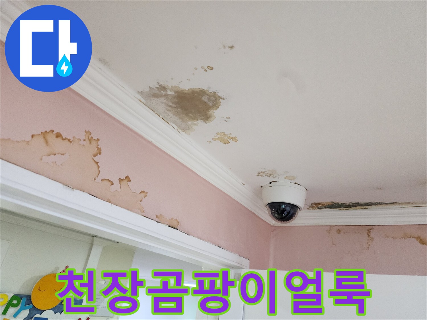 천장 몰딩 근처-번져있는 곰팡이와 누수 흔적 사진
