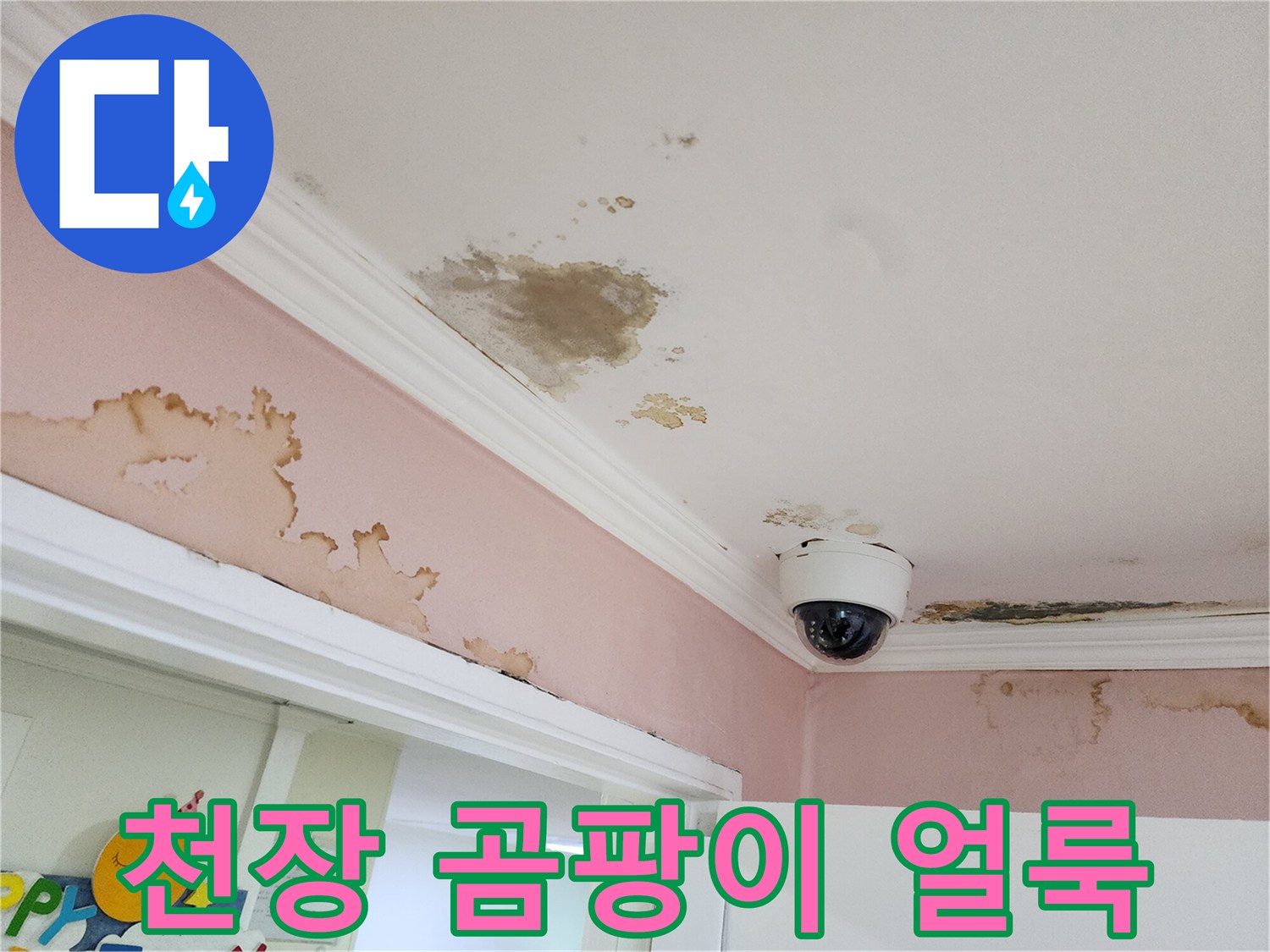 천장 몰딩 부근의 심한 변색과 곰팡이 번식 상태