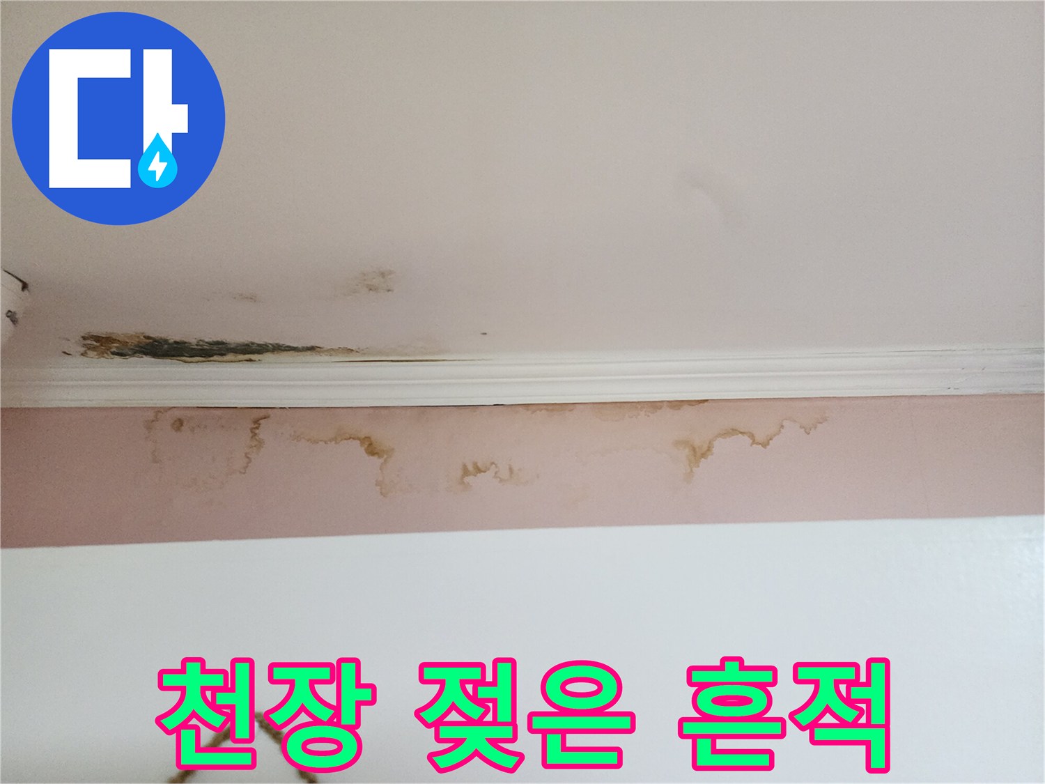천장 몰딩 주변의 누런 물 얼룩과 습기 흔적