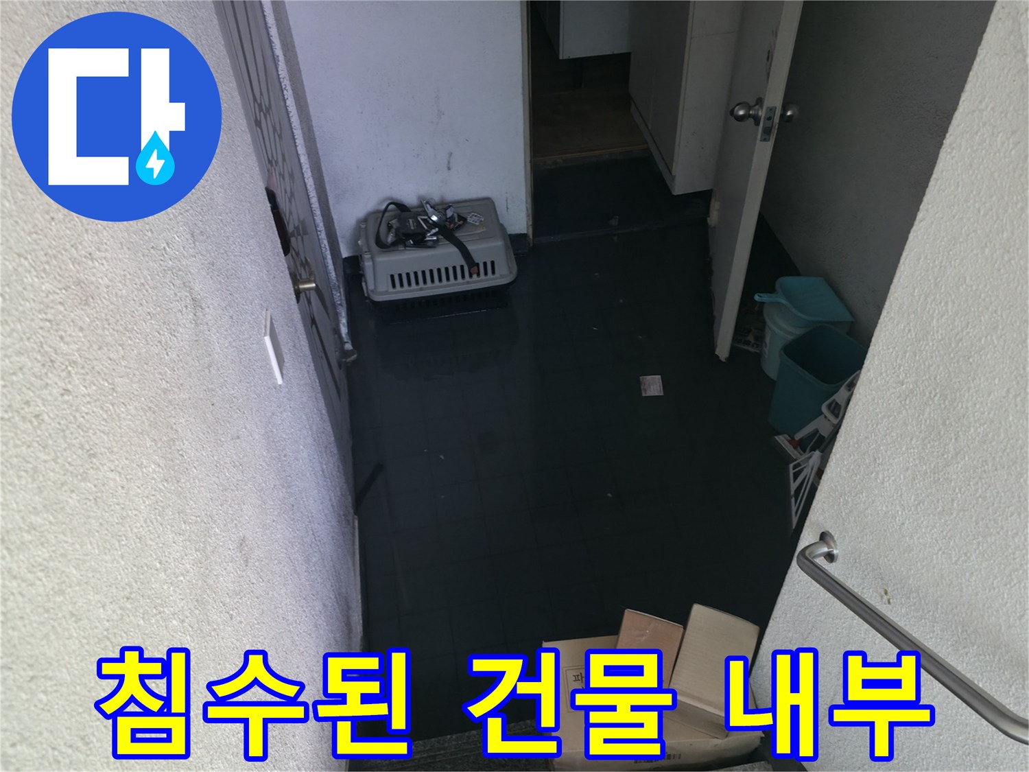 물이-역류하여-차오른-건물의-반지하-복도