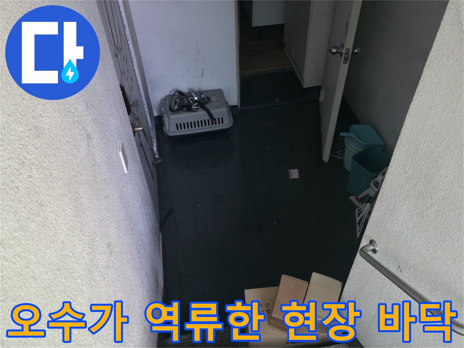 배관 내부 막힘으로 인해 복도 바닥에 오수가 고여 있습니다.