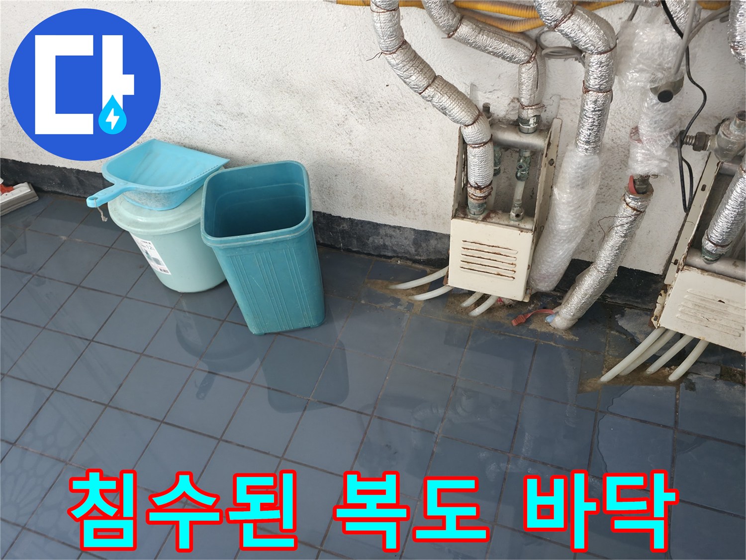 오수가 역류하여 고여 있는 반지하 건물의 복도 타일