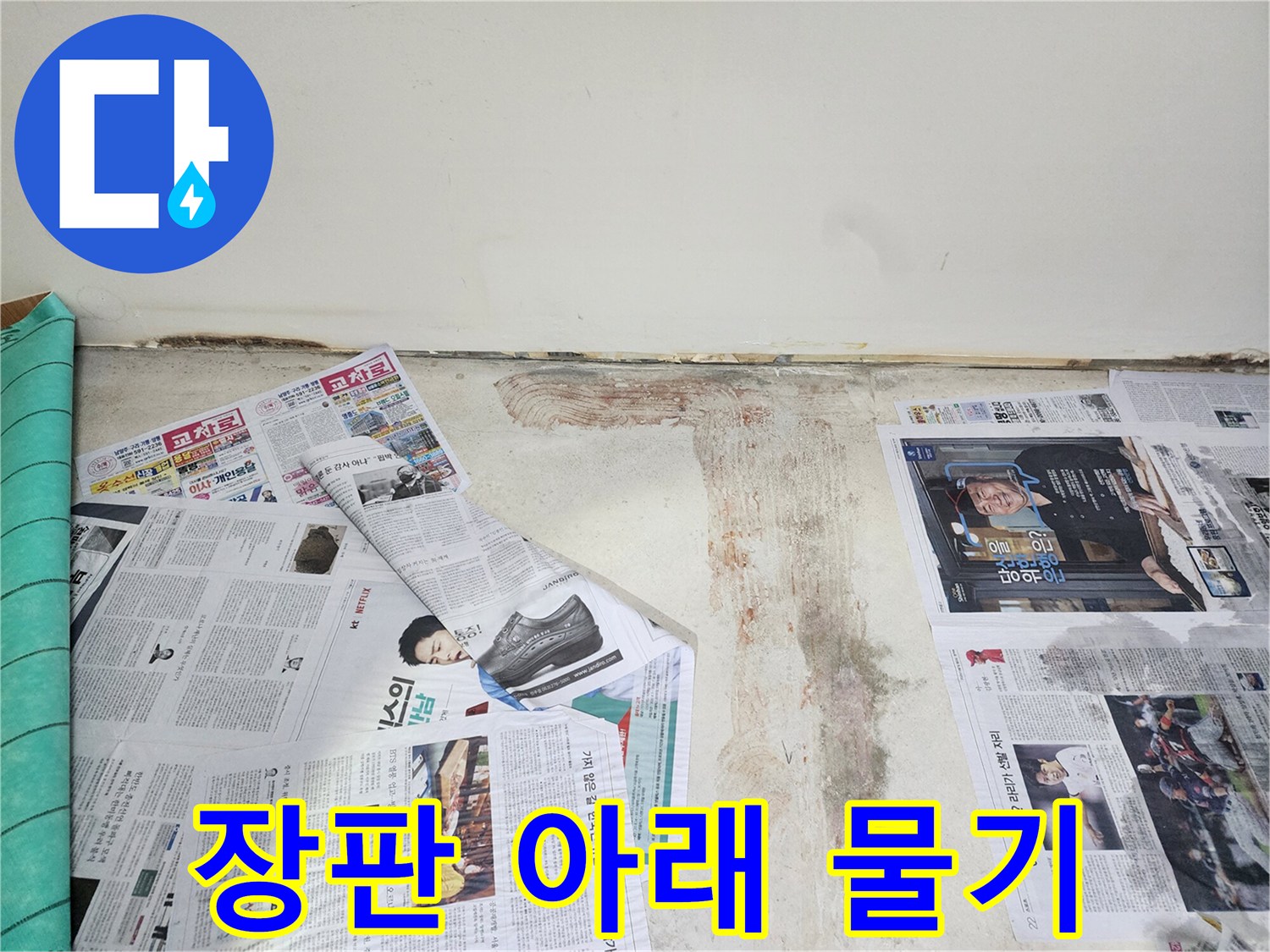 남양주 호평동 누수 현장에서 장판 아래 숨어있던 물기와 습기를 확인하고 있습니다.