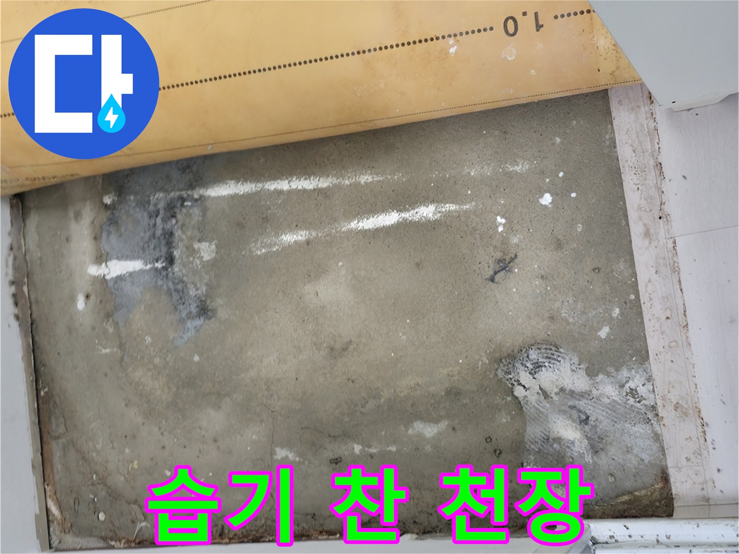 중계한 현장의-물샘으로 인한 곰팡이와 얼룩진 천장