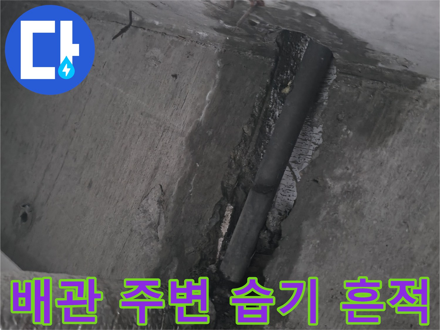 천장 매립 배관 주변의 젖은 흔적과 습기 상태