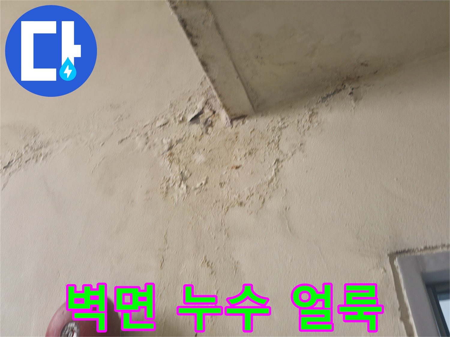 천장 모서리 부분의 변색된 벽면 상태