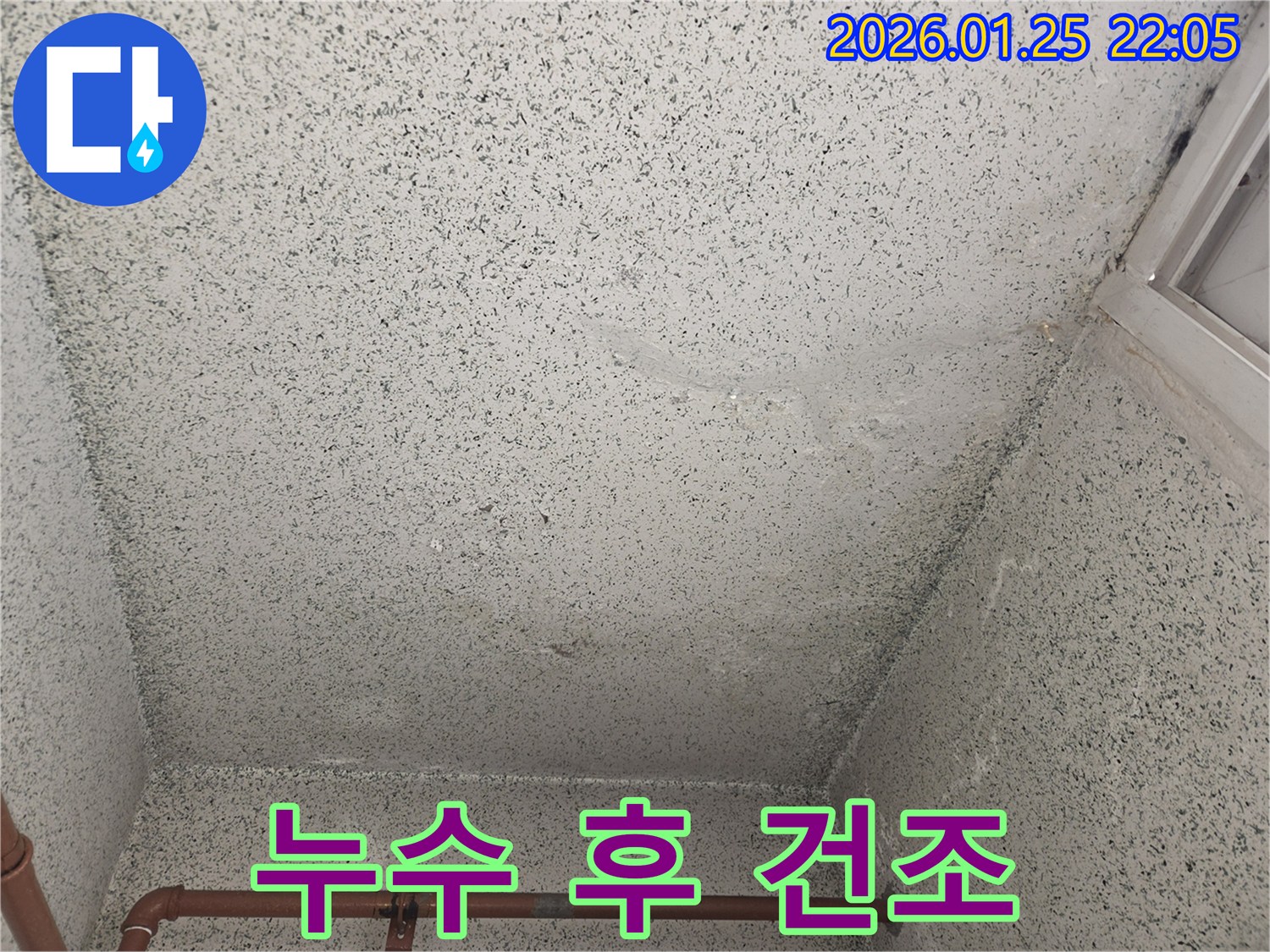용인-모현-천장-누수-현장에서-누수-탐지-후-습기-제거를-위한-건조-작업을-진행합니다.
