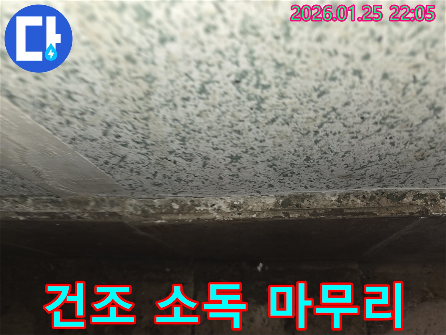 용인 모현읍 천장 곰팡이-누수 해결 후 완벽한 건조와 소독으로 마무리