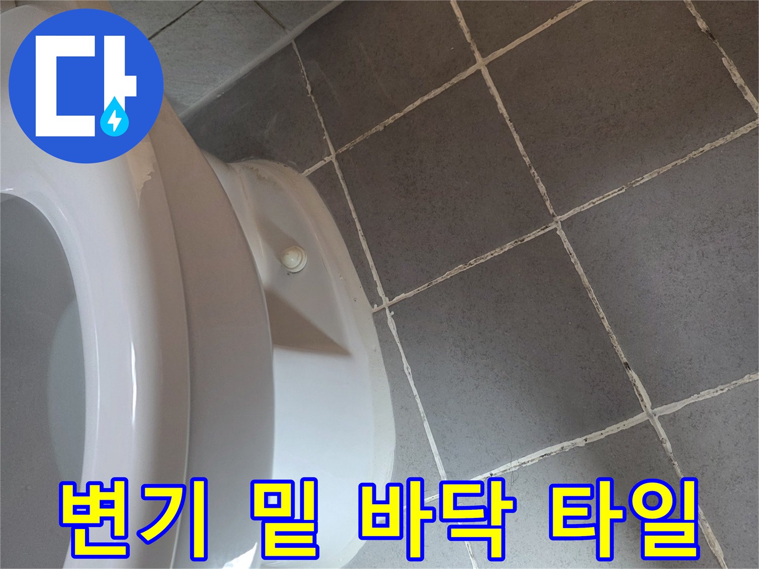 변기-주위-바닥-타일-면밀히-조사
