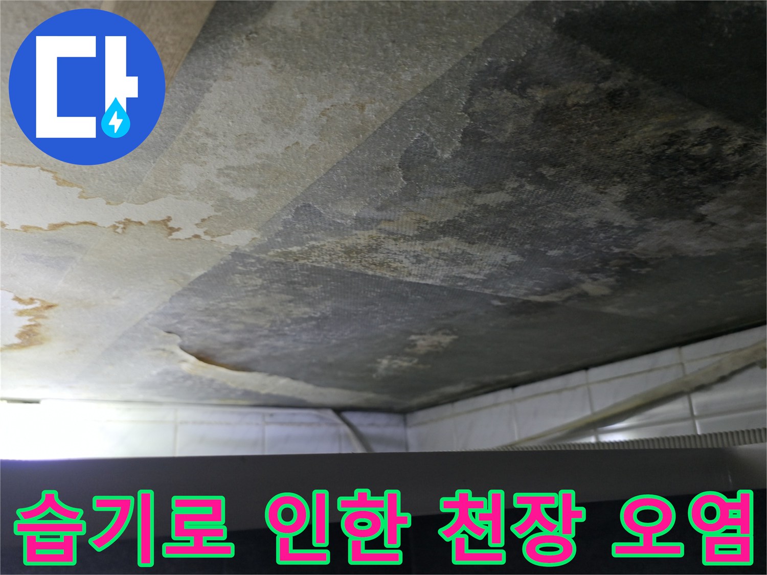 물기가 스며들어 검게 변한 화장실 천장 내부 슬래브