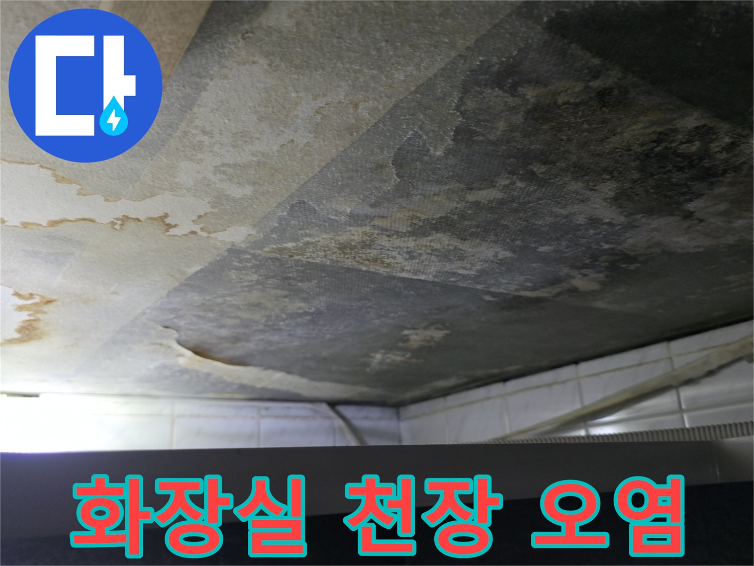 부천 화장실 천장 콘크리트 슬래브의 검은 곰팡이와 습기 흔적