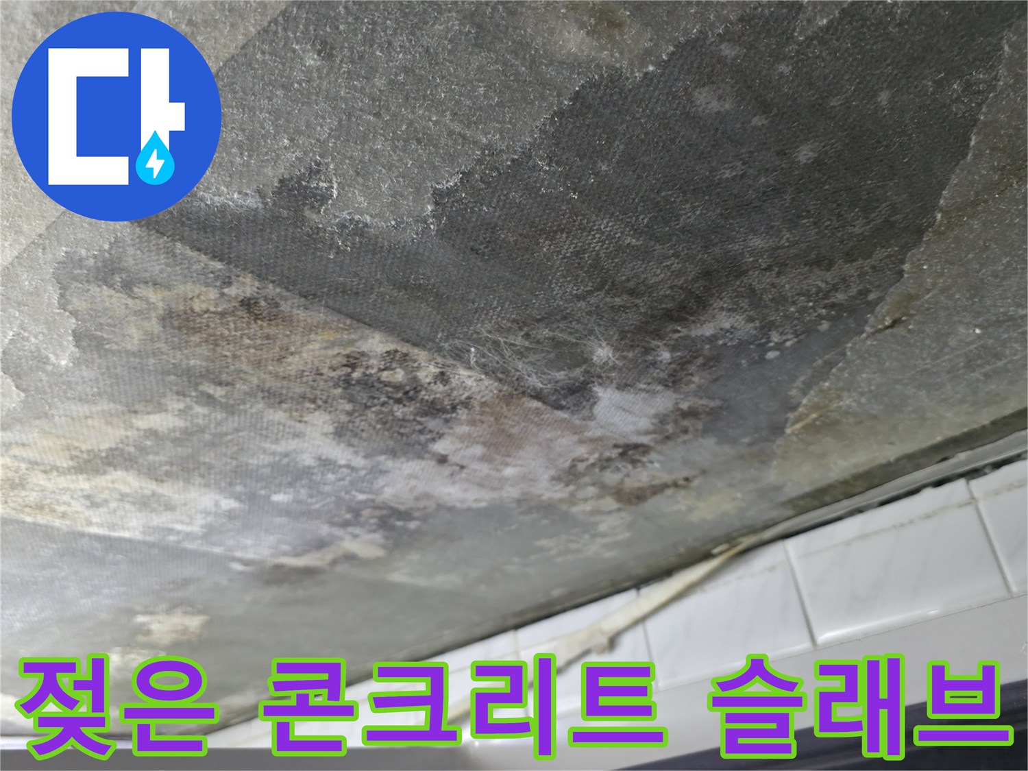 습기가-가득히-스며든-화장실-천장-콘크리트