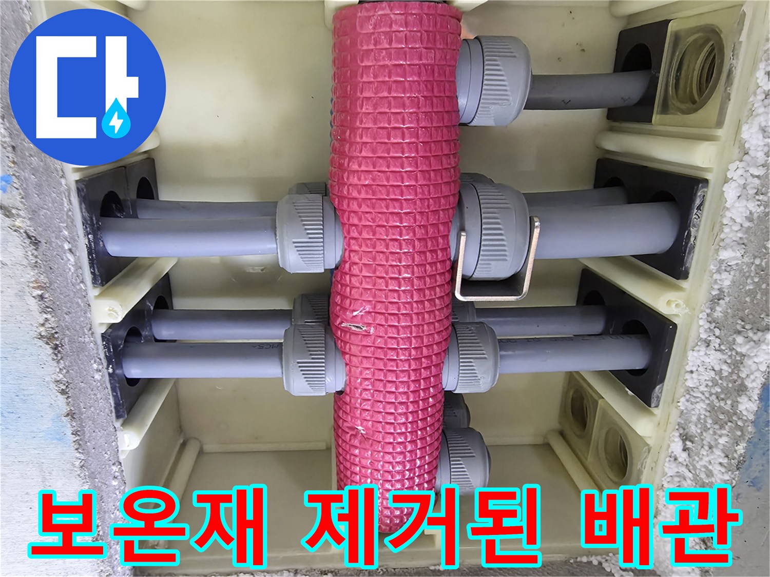 분배기 부속을-직접 확인할 수 있도록 노출시킨 모습