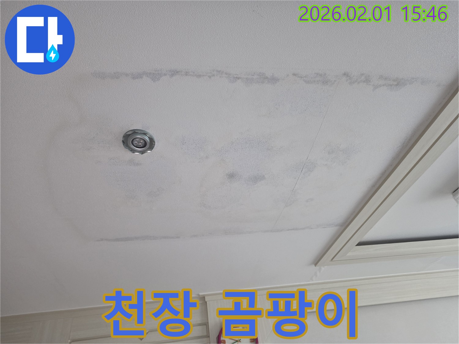 목동 아파트 천장 누수 - 누수로 인한 곰팡이 발생