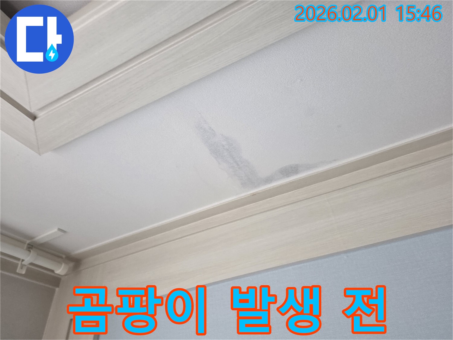 양천구 신정동 천장 누수 - 곰팡이 발생 전 빠른 조치 필요