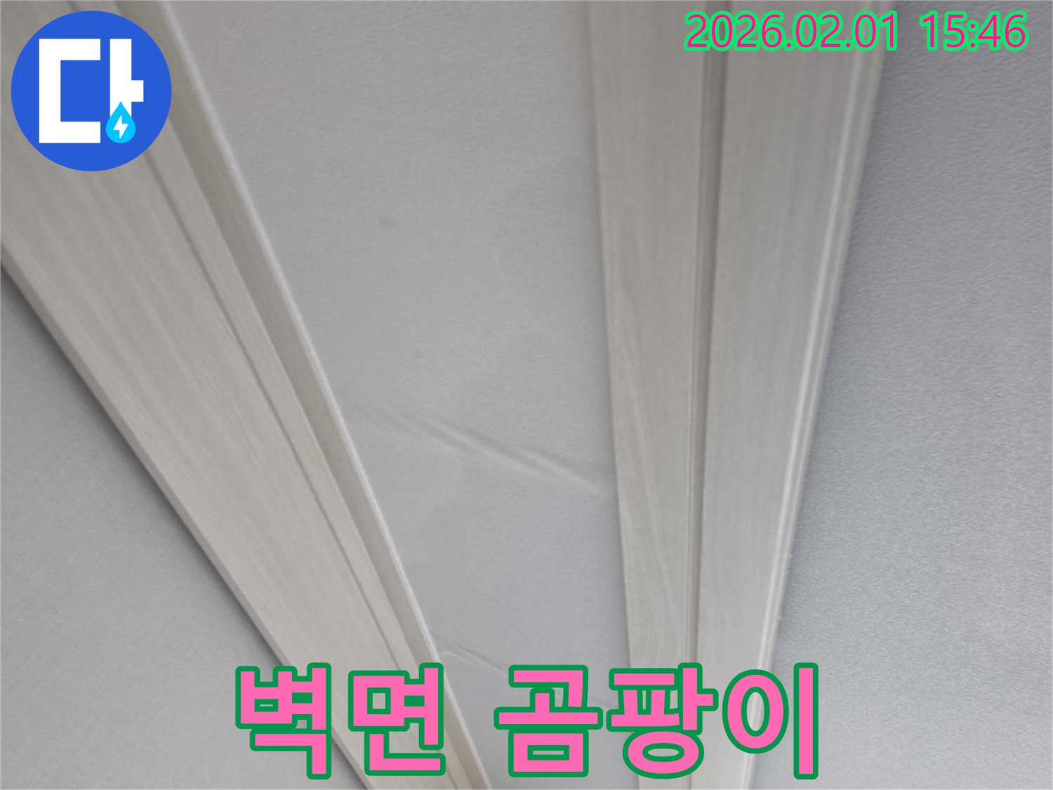 양천구 아파트 벽면 곰팡이 - 합리적인 가격으로 해결