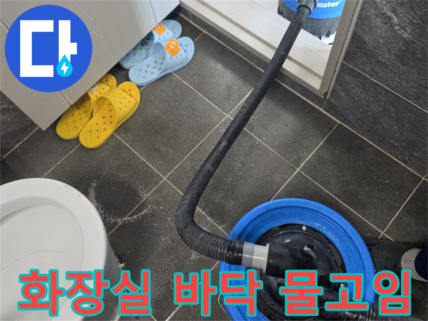양천구 화장실 바닥에 고인 물을 제거하는 작업 현장