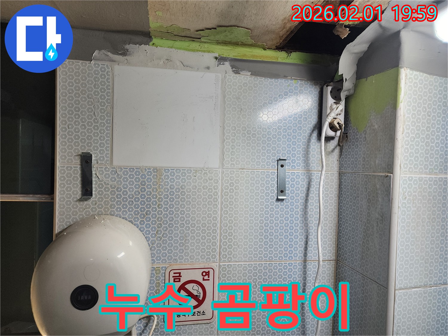 누수로 인한 곰팡이 - 건강 위협!