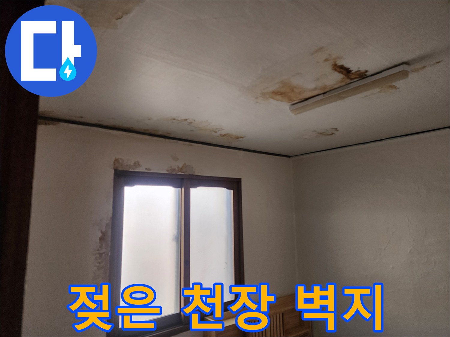 천장 가장자리를 따라 번져 있는 누수 오염 부위