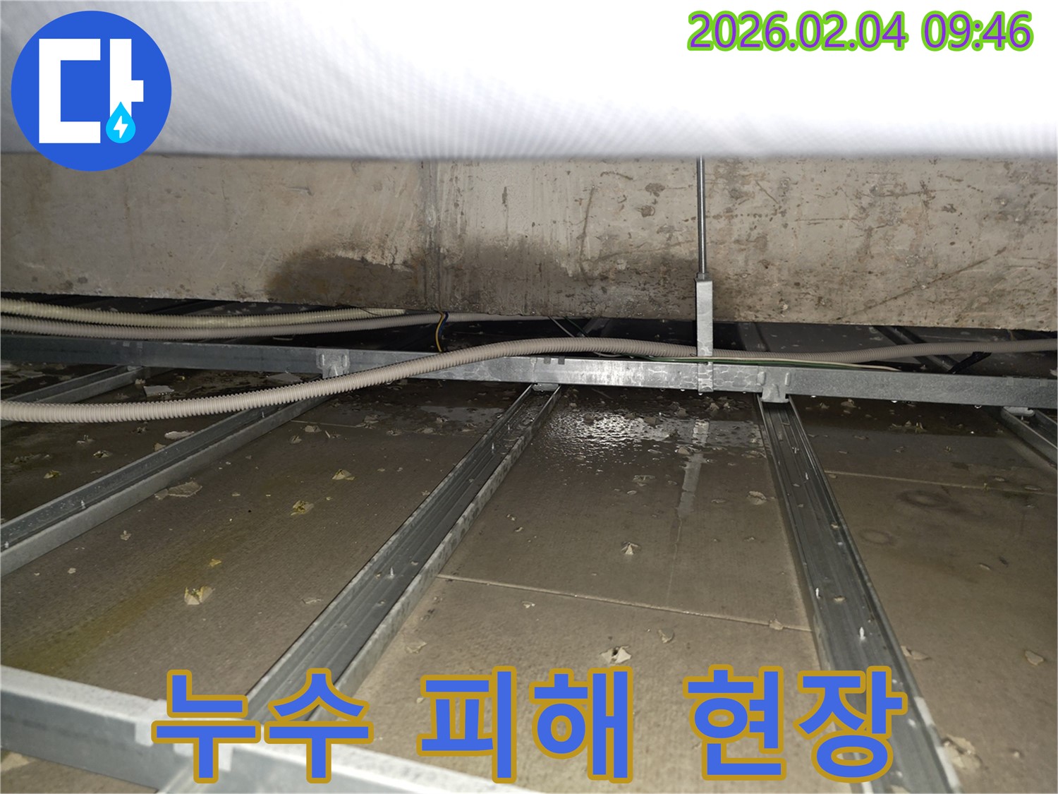 목동 아파트 누수 피해 현장 - 천장 누수 흔적과 젖은 천장재