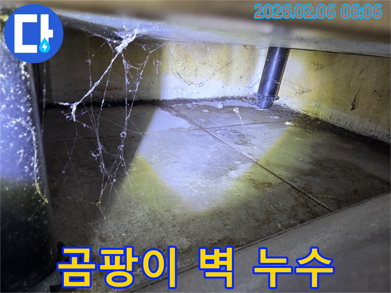 곰팡이 핀 벽면 - 누수로 인한 곰팡이 발생