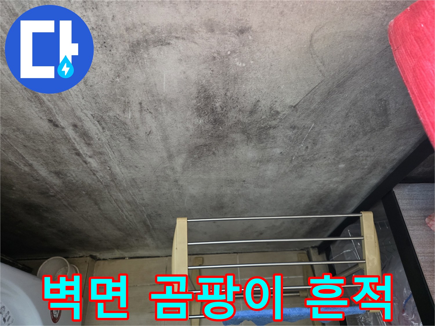 누수 피해로 인해 곰팡이가 번진 세탁실 벽지