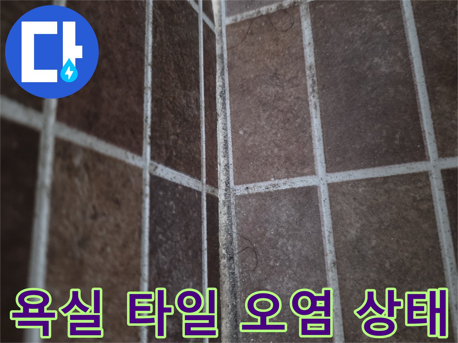 마포구 현장-욕실 벽면 타일 사이의 곰팡이와 오염된 모습