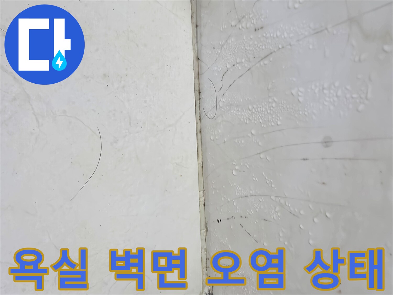 마포구 화장상실 타일 사이 곰팡이와 물때 현상