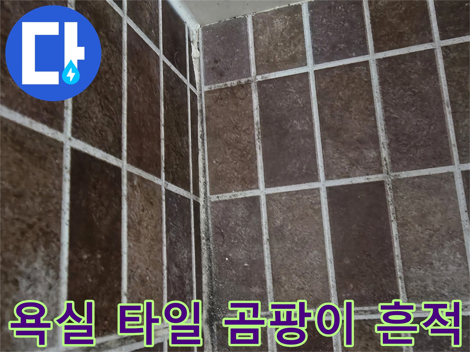 물샘으로 인해 오염된 화장실 벽면 타일 줄눈