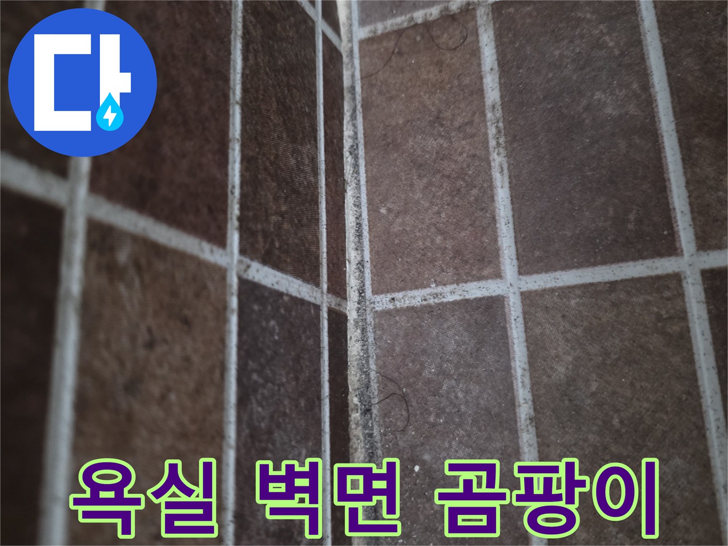 습기가-스며든-타일-줄눈의-곰팡이_흔적