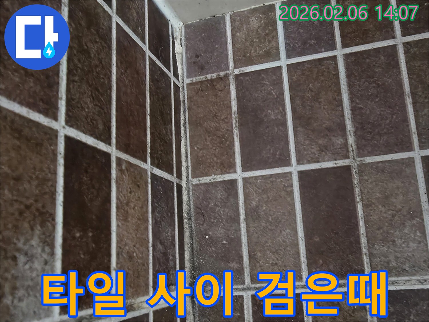 욕실 타일 사이-검은 오염과 곰팡이로 인한-누수 의심 현장