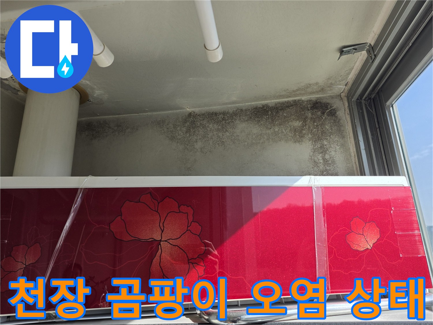 천장 벽면 상단-누수 영향으로 발생한 곰팡이와 변색 부위