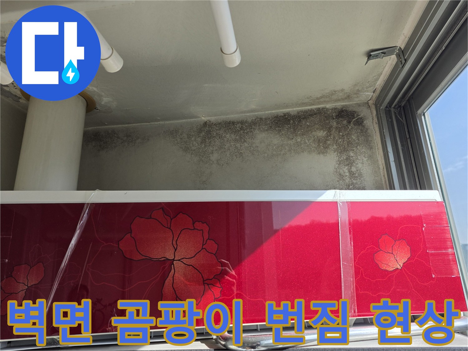 천장 하단 벽면-물샘으로 인한 곰팡이 오염 부위 촬영