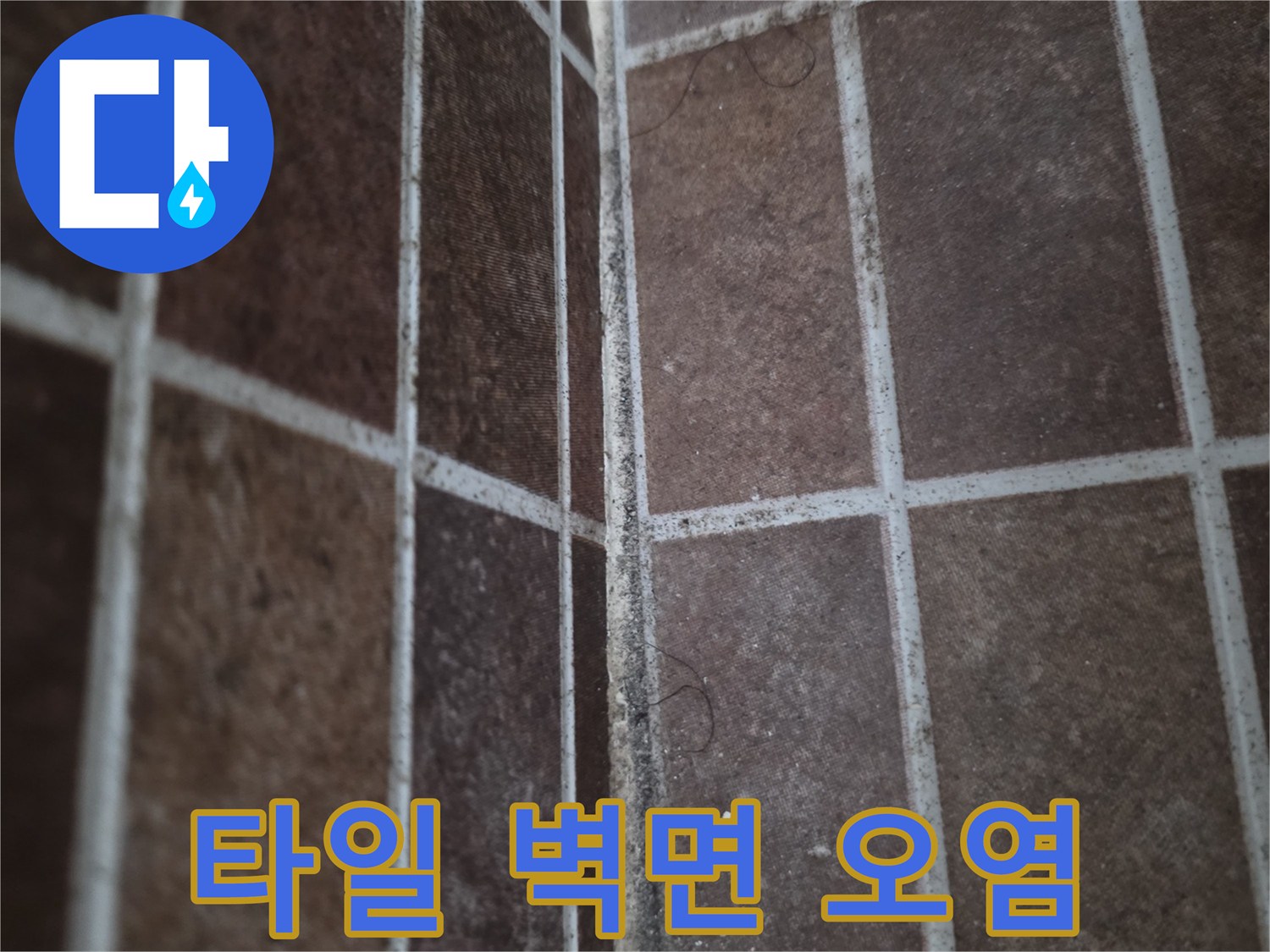 화장실-타일-사이-곰팡이와-오염-흔적