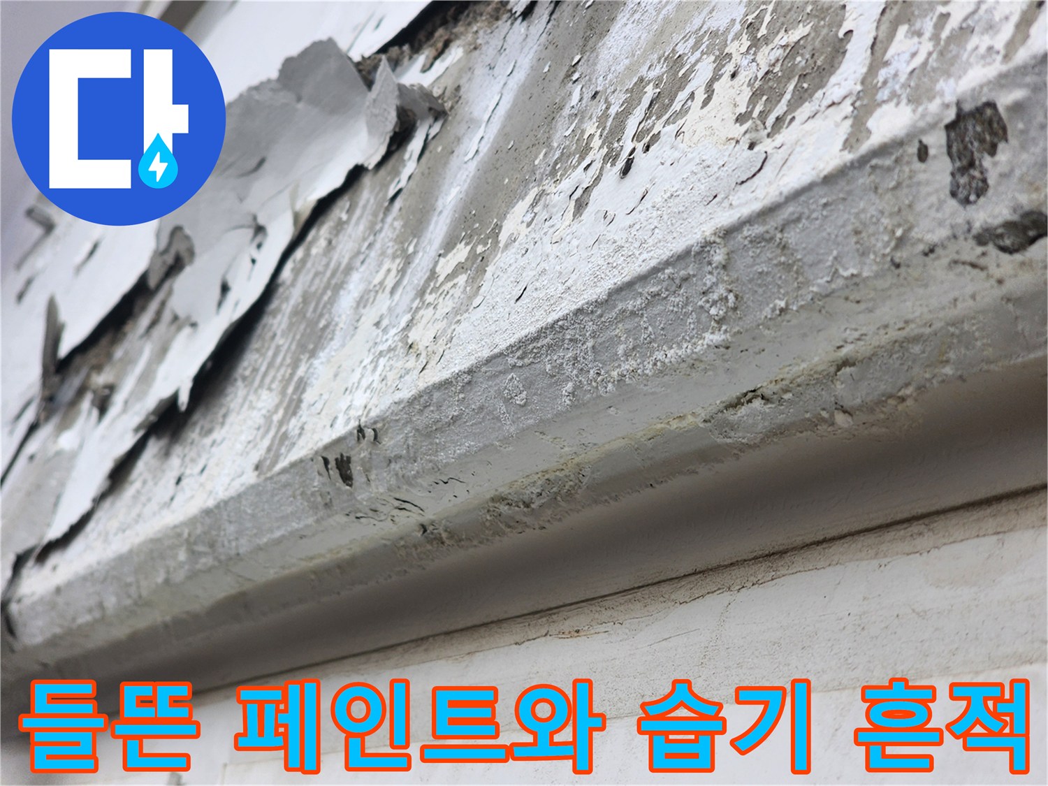 습기가-스며들어-벗겨진-외벽-페인트층