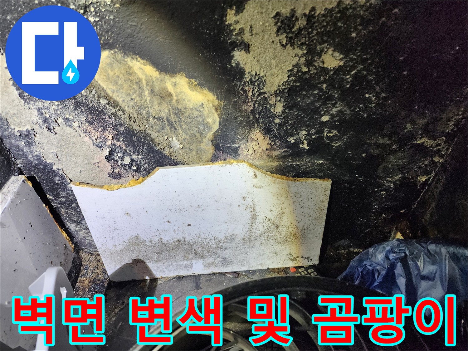 누수로 인해-변색된 벽면과 곰팡이가 번진 모습