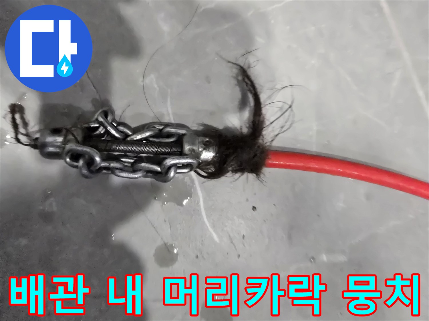 내시경 장비로 확인한-머리카락과 슬러지 오염