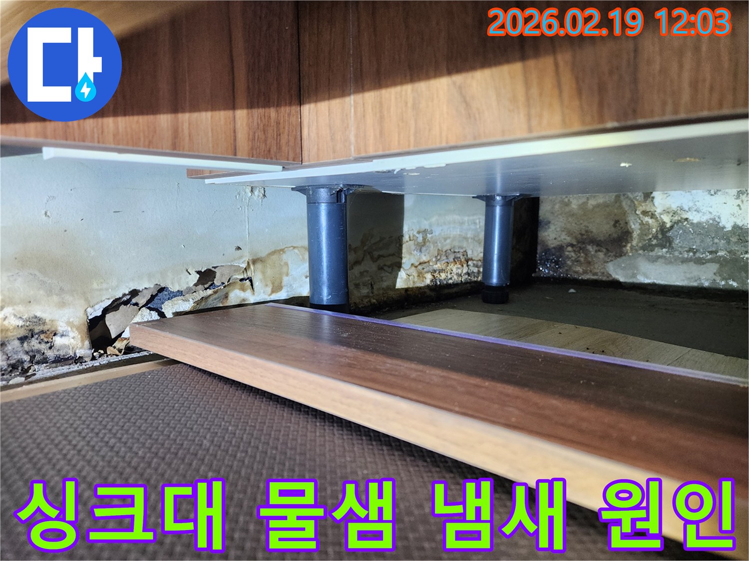 싱크대 하부 벽면의 심각한 누수 흔적-벽지 손상과 곰팡이가 광범위하게 퍼진 상태를 전문가가 진단