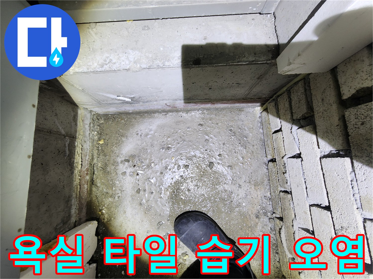 화장실-타일-사이-습기-및-오염-상태-점검
