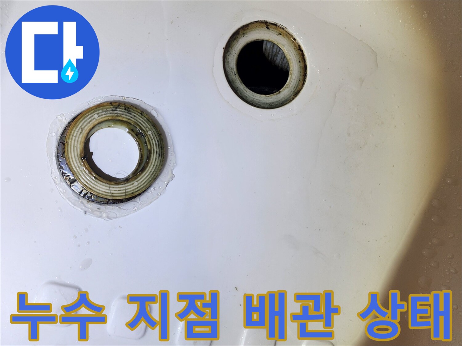 욕조 바닥-분리된 배수 트랩과 호스 연결부