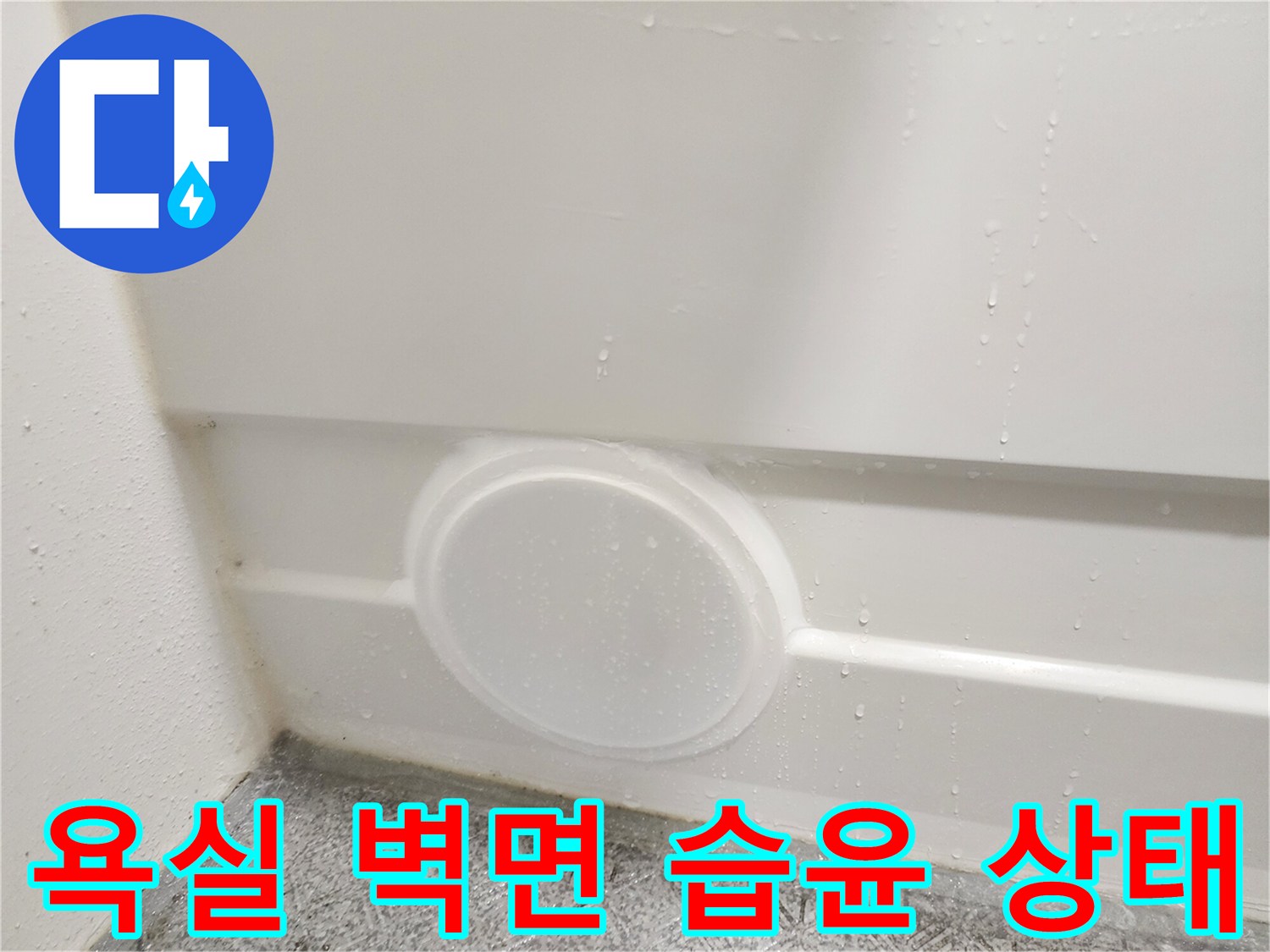 화장실-벽체-하단-배수구-주변-습기-사진